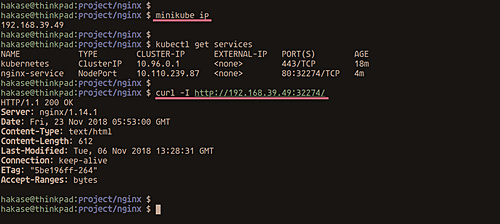 Comprueba la IP de Minikube