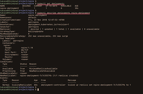 Comprobar el despliegue