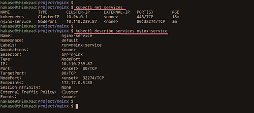 Comprueba el servicio nginx