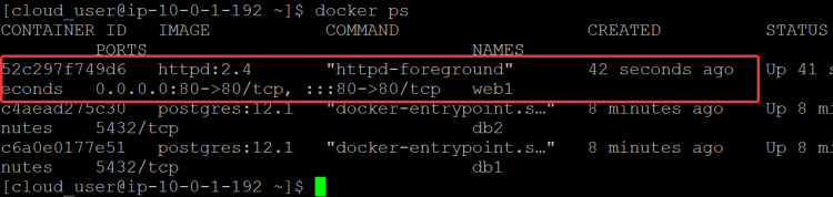 comprobar el estado del contenedor web1