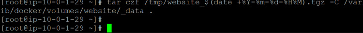 haz una copia de seguridad del contenido del volumen de tu sitio web