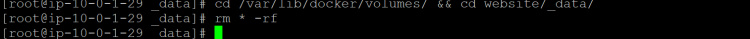 Entra en el directorio del volumen y elimina todos los datos del sitio web.