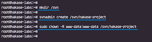 Configurar un repositorio de Subversion