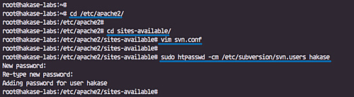 Configurar el vhost de SVN en Apache