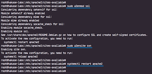 Activa el vhost y reinicia apache