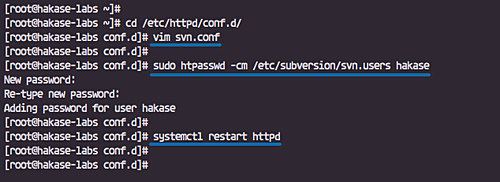Configurar el archivo svn.conf