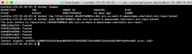 empujar la imagen a ECR Repo