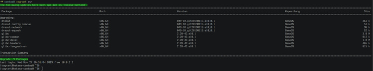 Actualizaciones de paquetes aplicadas