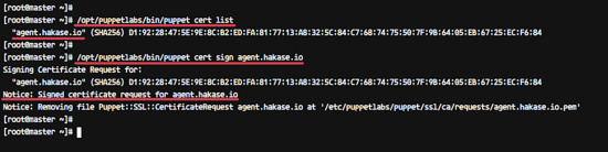 Configurar el agente puppet