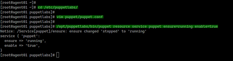Iniciar el servicio de marionetas