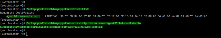 Registrar el agente marioneta