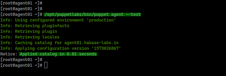 Prueba del agente marioneta