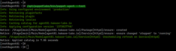 Prueba del agente marioneta