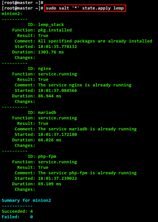 instalar LEMP Stack con el estado SaltStack