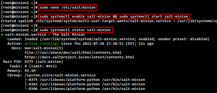 comprueba la sal-minión