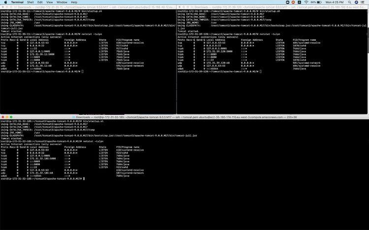 Iniciar y detener Tomcat