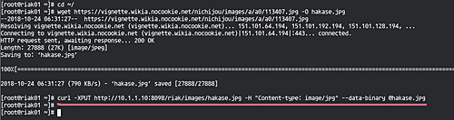 Probar Riak con curl