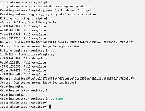 Iniciar el Registro Docker