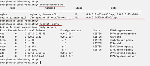 Comprueba el servicio Nginx