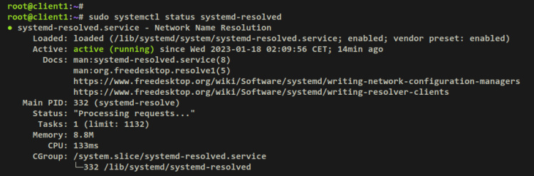 verificar sistema resuelto