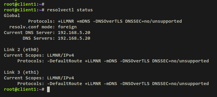 verificar resolución dns
