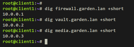 verificar dominio local