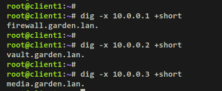 verificar registro ptr