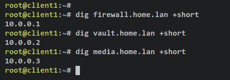 verificar dominios locales