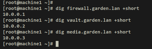 verificar dominios locales