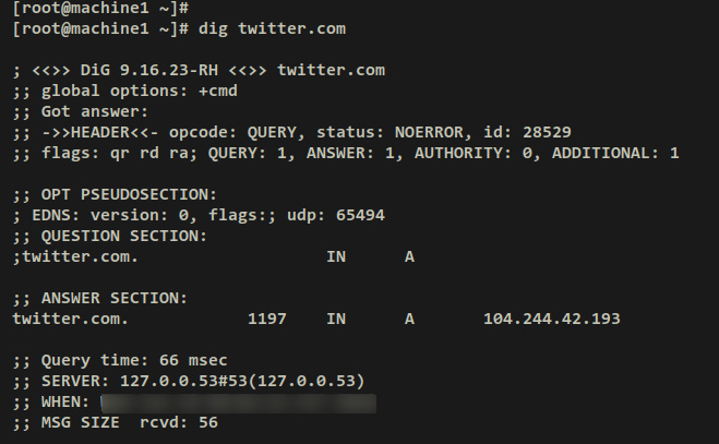 verificar DNS sobre TLS