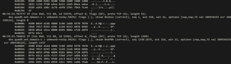 verificar DNS-sobre-TLS tcpdump