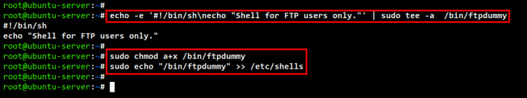 configuración dummyshell