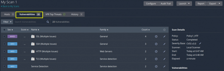 Visualización de la pestaña de vulnerabilidad