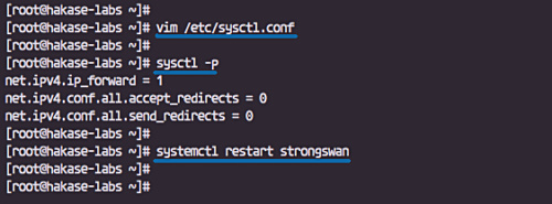 Configura el reenvío de puertos en sysctl.conf
