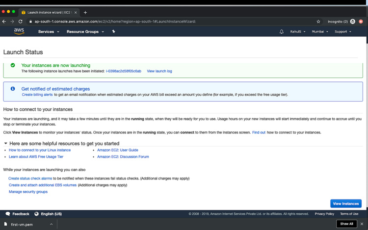 Estado de lanzamiento de la instancia