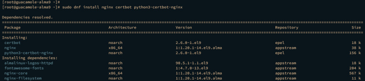 instalar nginx certbot