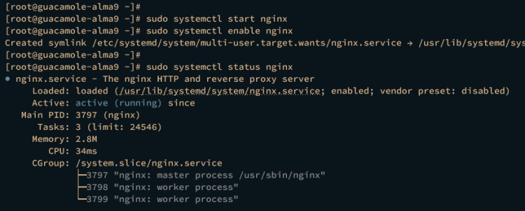 start enable verify nginx