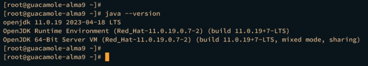 verifica la versión de java