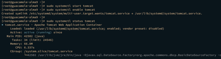 verificar el estado de tomcat