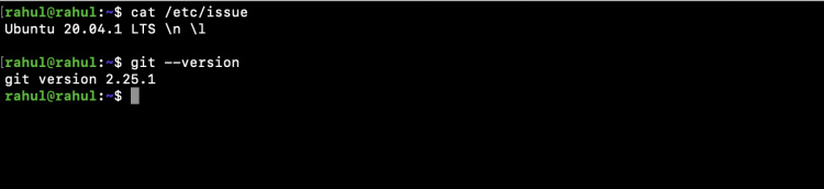 Sistema operativo y versión Git