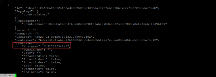 comando docker inspect