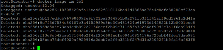 eliminar la imagen ubuntu:12.04