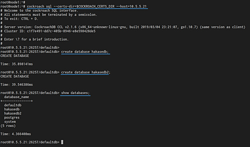 Línea cmd de Cockroach DB