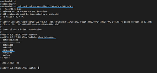Mostrar bases de datos
