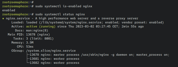 verificar nginx