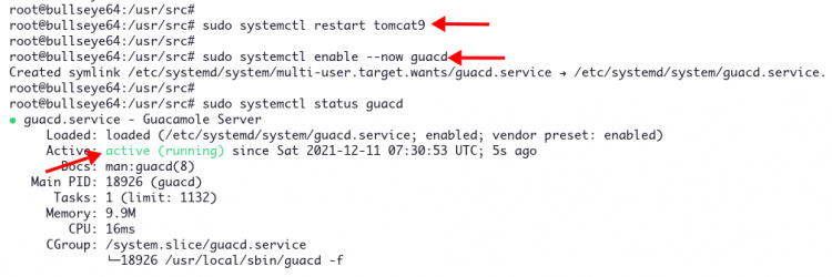 Habilitar el servicio de guacd Apache Guacamole