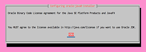 oracle-java8-instalador