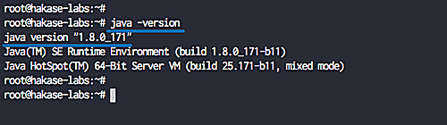 Comprueba la versión de Java