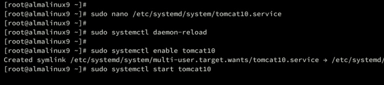 start enable tomcat10