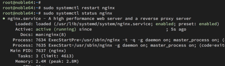 comprobar servicio nginx